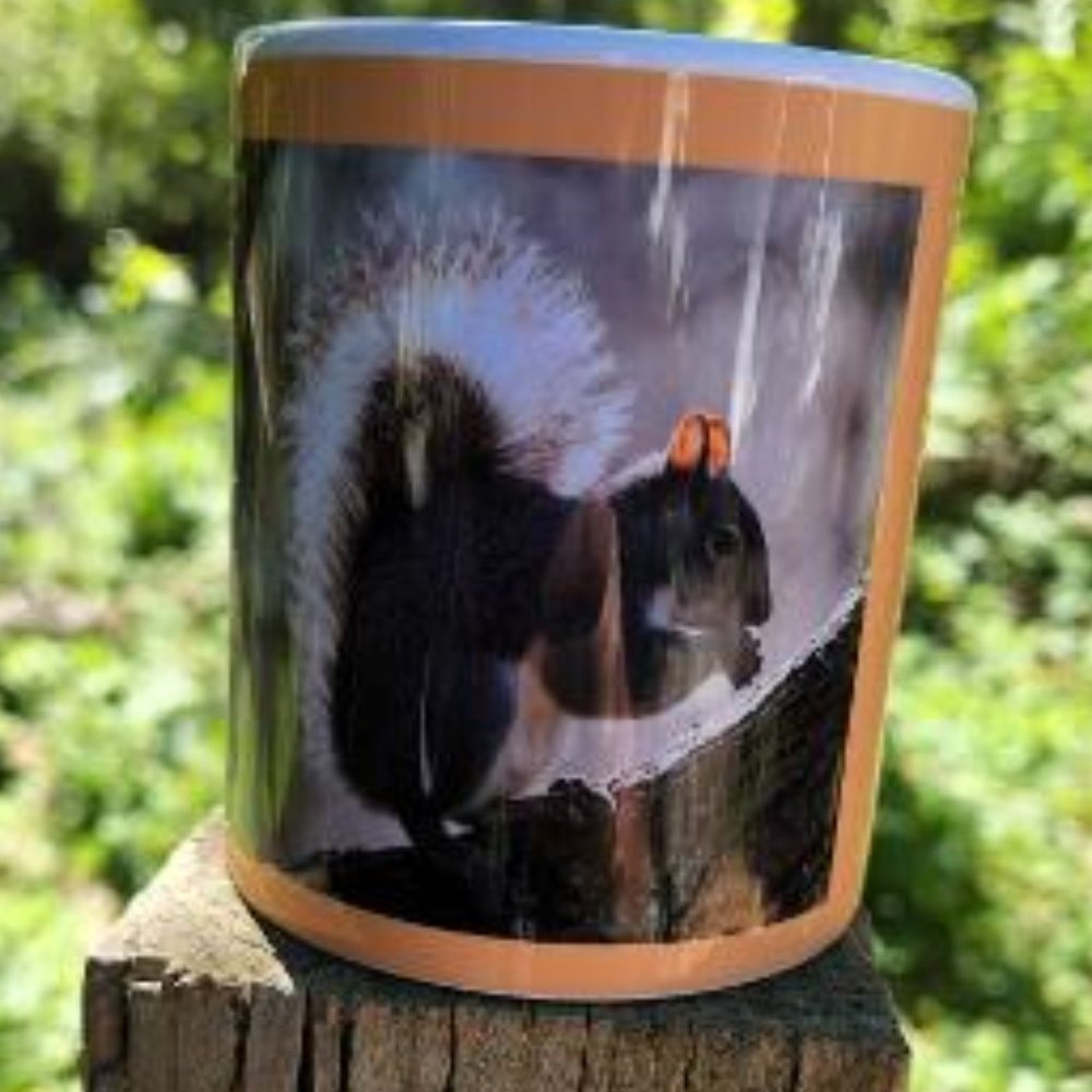 SQUIRREL Mug- Great Gift Idea! Brand new waiting for coffee :)